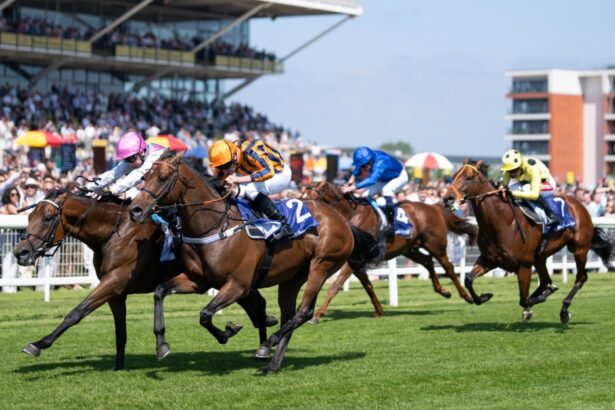 Ascot 2.30 tips: Today’s Queen Anne Stakes bets and predictions from our experts