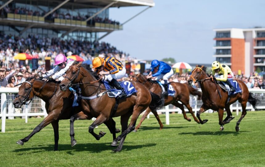 Ascot 2.30 tips: Today’s Queen Anne Stakes bets and predictions from our experts