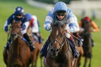 Expert Horse Racing Picks For Saturday