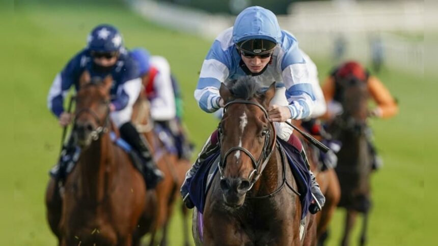 Horse Racing Tips Today