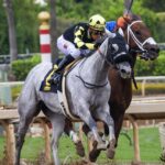 From Amateur to Pro: Mastering the Art of Sports Betting with These Tips