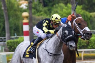 From Amateur to Pro: Mastering the Art of Sports Betting with These Tips