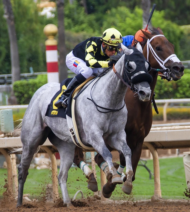 From Amateur to Pro: Mastering the Art of Sports Betting with These Tips