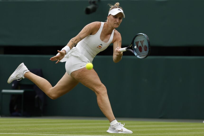 Marketa Vondrousova vs Wang Xinyu WTA Berlin Open 2025 Final Preview