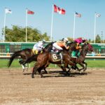How Horse Racing Bets Work in Mississippi