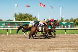 How Horse Racing Bets Work in Mississippi