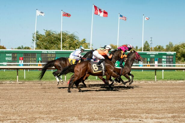 How Horse Racing Bets Work in Mississippi