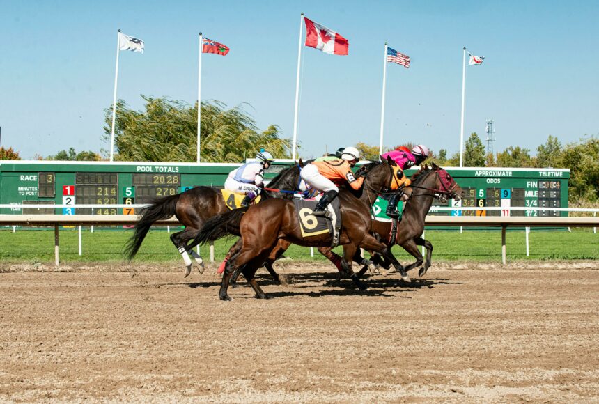 How Horse Racing Bets Work in Mississippi