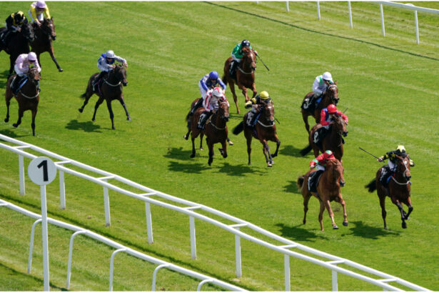 Tuesday’s 4 Best Bets Across The Tracks