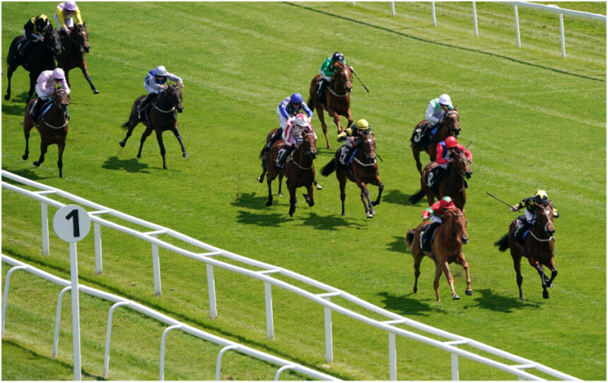 Tuesday’s 4 Best Bets Across The Tracks