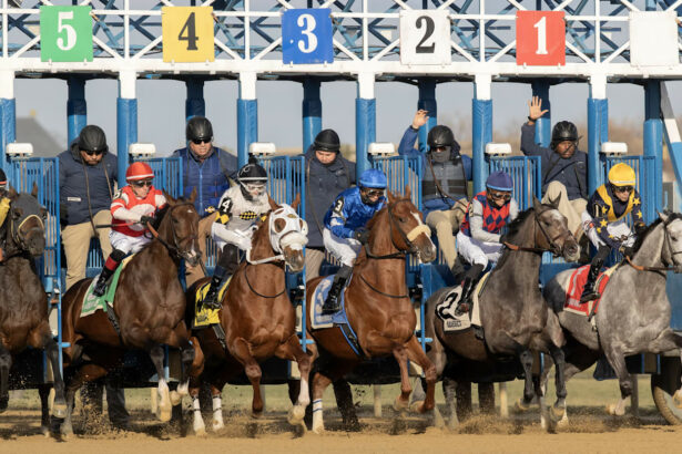 Jockey Club Oaks Betting Tips