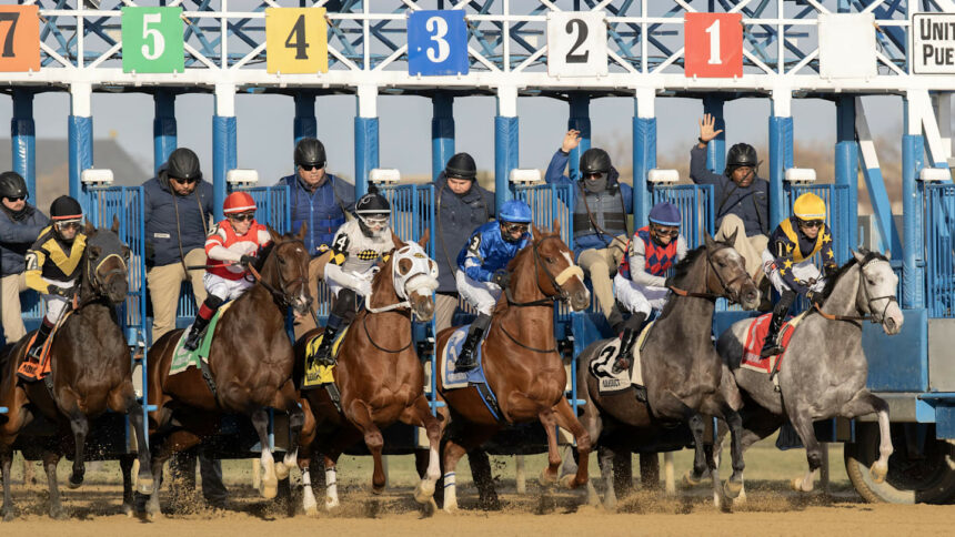 Jockey Club Oaks Betting Tips