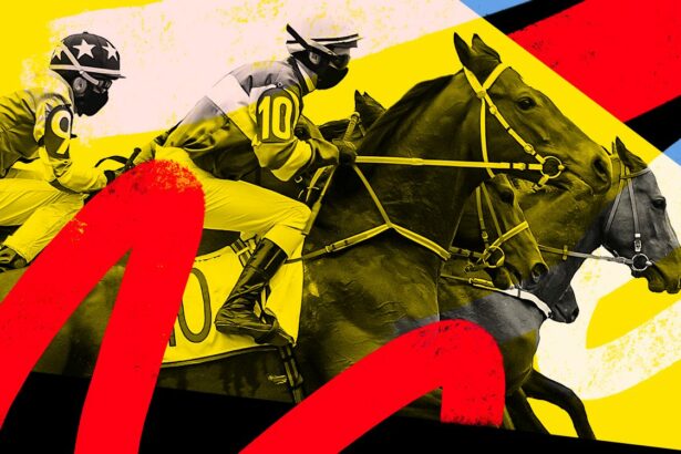 Marlborough Horse Racing Tips Today