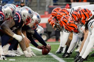 Patriots vs Bengals NFL Week 12 Betting Odds
