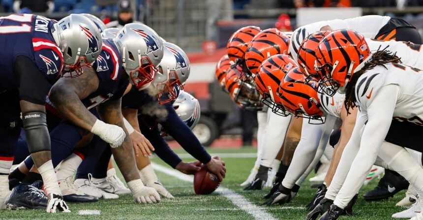 Patriots vs Bengals NFL Week 12 Betting Odds