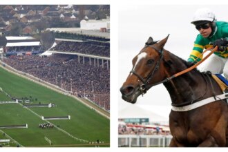 Saturday’s ITV horse racing tips and best bets for Cheltenham and Wetherby