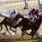 Online Gambling vs Traditional Casino Betting